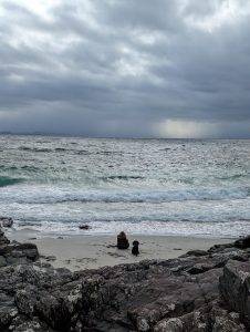 PXL 20240305 121644398 1